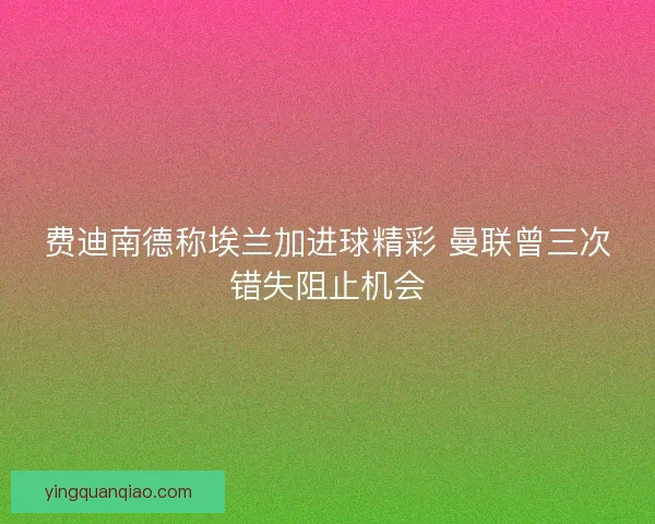 费迪南德称埃兰加进球精彩 曼联曾三次错失阻止机会