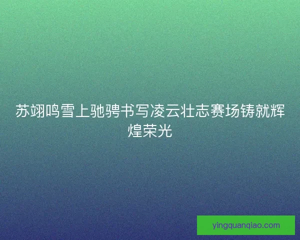 苏翊鸣雪上驰骋书写凌云壮志赛场铸就辉煌荣光